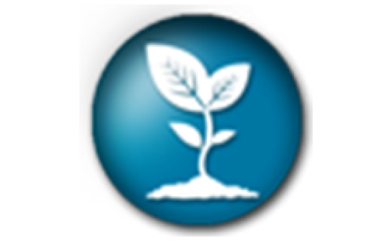 LANDSCAPE MAINTENANCE