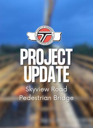 skyview project update